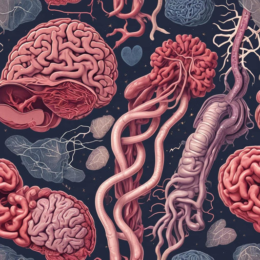 LA VARIABILITA' DELLA FREQUENZA CARDIACA COME MARCATORE DELLA SALUTE DELL'INTESTINO